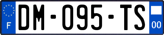 DM-095-TS