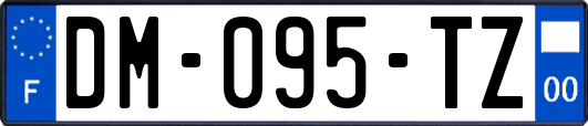 DM-095-TZ