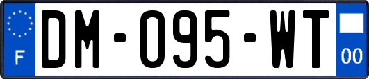 DM-095-WT