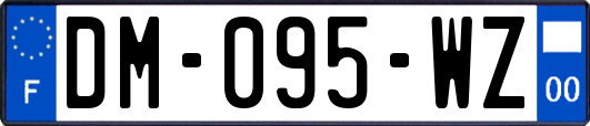 DM-095-WZ