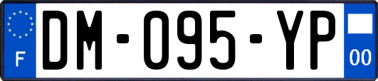 DM-095-YP