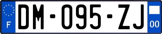 DM-095-ZJ