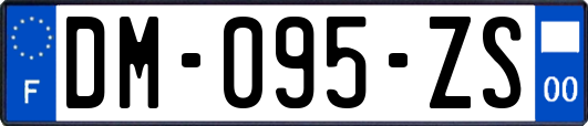 DM-095-ZS