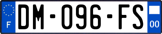 DM-096-FS