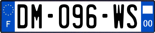 DM-096-WS