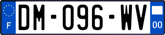 DM-096-WV