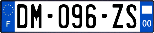 DM-096-ZS