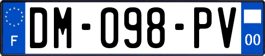 DM-098-PV