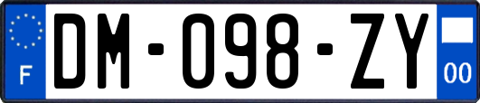 DM-098-ZY