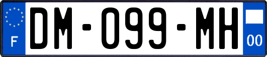 DM-099-MH