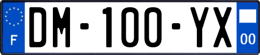 DM-100-YX