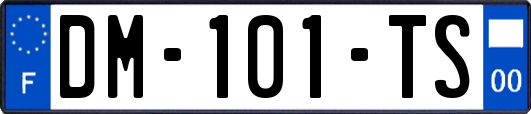 DM-101-TS