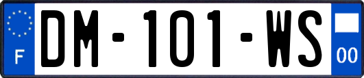 DM-101-WS