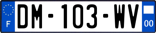 DM-103-WV