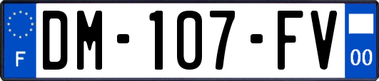 DM-107-FV