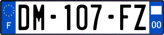 DM-107-FZ