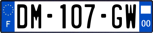 DM-107-GW