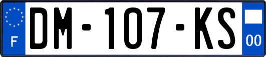 DM-107-KS
