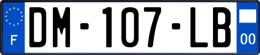 DM-107-LB