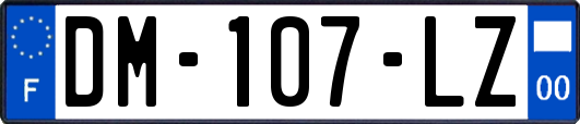 DM-107-LZ