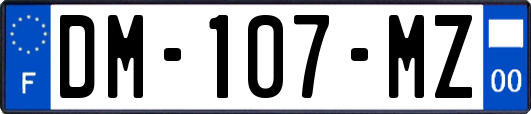 DM-107-MZ
