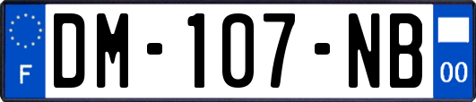 DM-107-NB