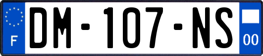 DM-107-NS