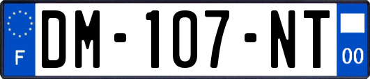 DM-107-NT