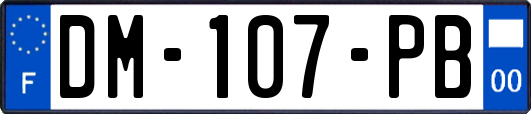 DM-107-PB