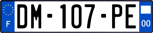 DM-107-PE