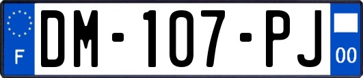 DM-107-PJ