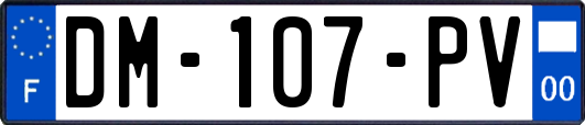 DM-107-PV