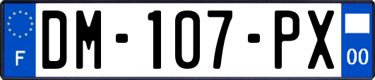 DM-107-PX