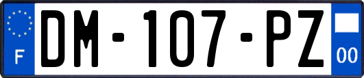 DM-107-PZ
