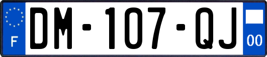 DM-107-QJ