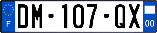 DM-107-QX