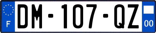DM-107-QZ