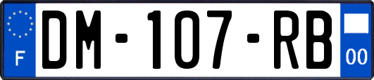 DM-107-RB