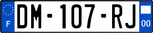 DM-107-RJ