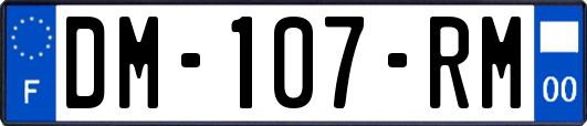 DM-107-RM