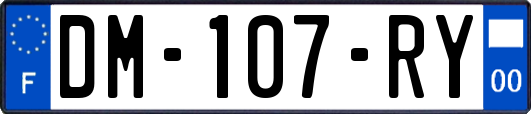DM-107-RY