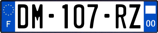 DM-107-RZ