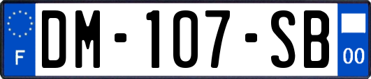 DM-107-SB