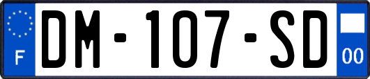 DM-107-SD