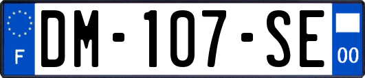 DM-107-SE