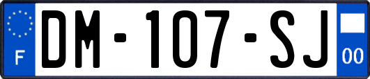 DM-107-SJ
