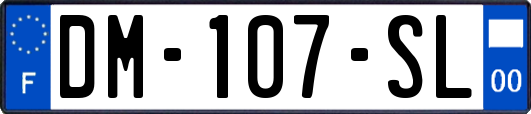 DM-107-SL