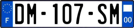 DM-107-SM