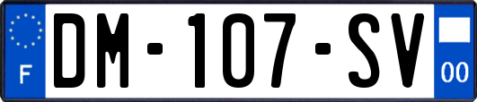DM-107-SV