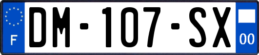 DM-107-SX